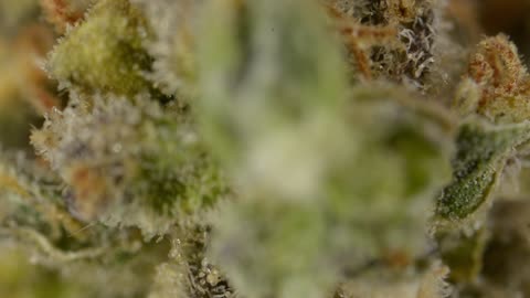 AK-47 Close Up V.2