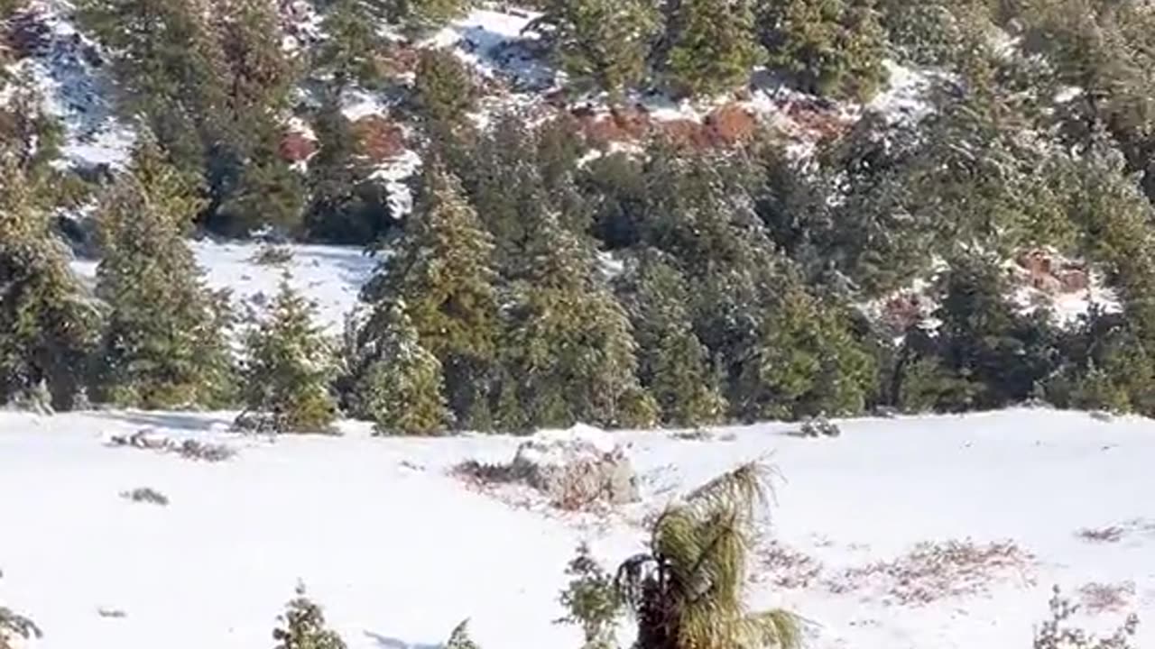 Kiosulamin #trip#foryou