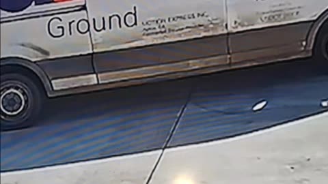 Delivery Driver Jumps Through Van Window Fleeing Dog