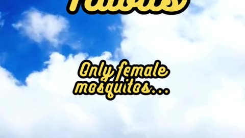 Animal Facts Mosquito Feeding Habits #shorts