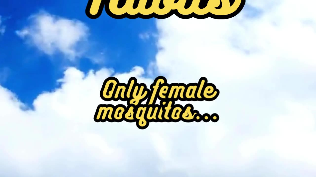 Animal Facts Mosquito Feeding Habits #shorts