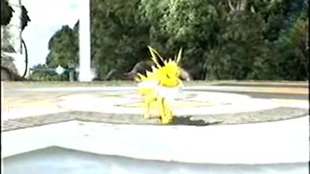 Pokemon Battle Revolution - PBR - Old Wifi Battle 4
