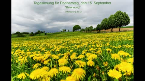 Tageslosung für Donnerstag, den 15. September