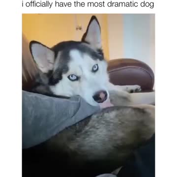 the side eye in the beginning 😂