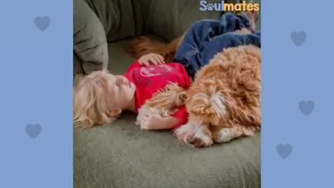 Adorable Kids and Dogs Growing Up Together - The Dodo Soulmates