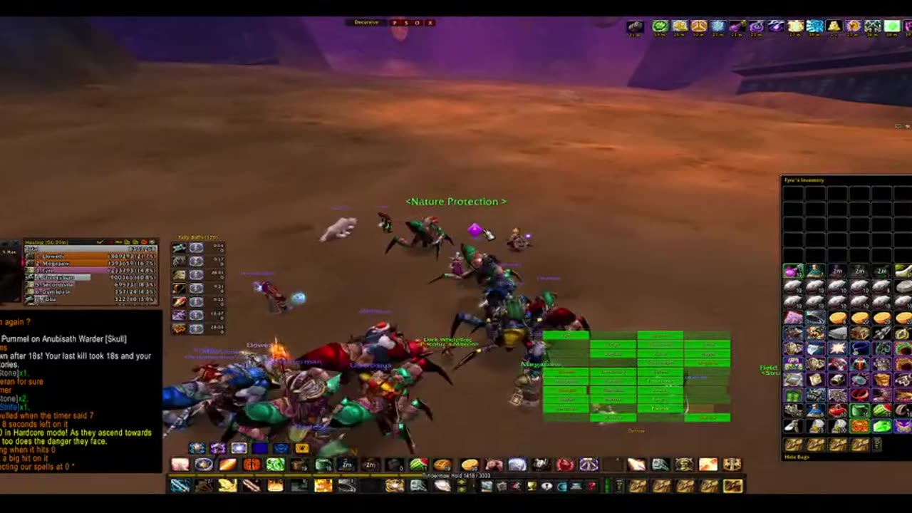 Turtle Wow - MM weekly AQ40 - Paladin POV - no commentary