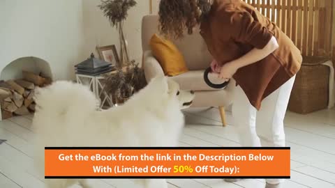 Fast And Easy.Dog Training Step By Step.