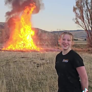 Government forcing people to burn their #Bee Boxes