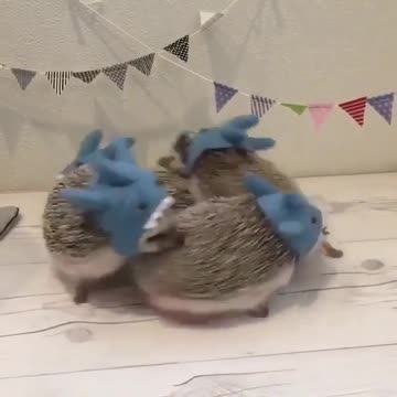 Let’s have party together