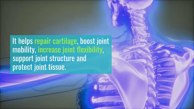 Joint Pain Supplements