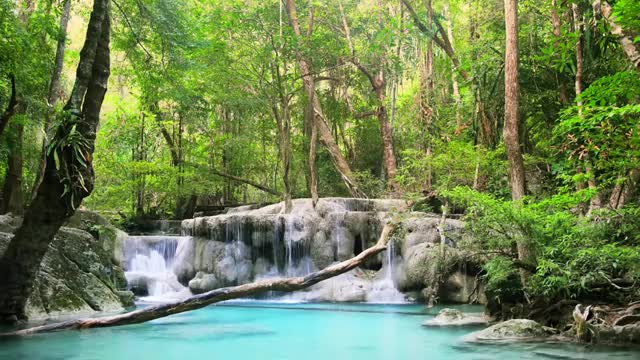 Relaxing Zen Music with Water Sounds • Relax, Sleep, Spa, Yoga, Meditation(360p)