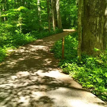 Hiking McCormick Creek Indiana