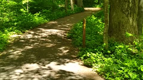 Hiking McCormick Creek Indiana