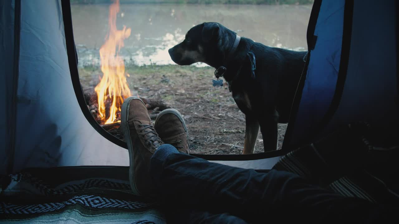 Person inside a tent with dog