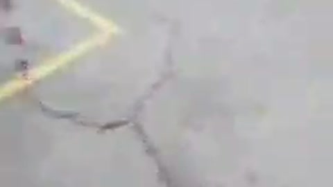 Via, via, annamocene via...