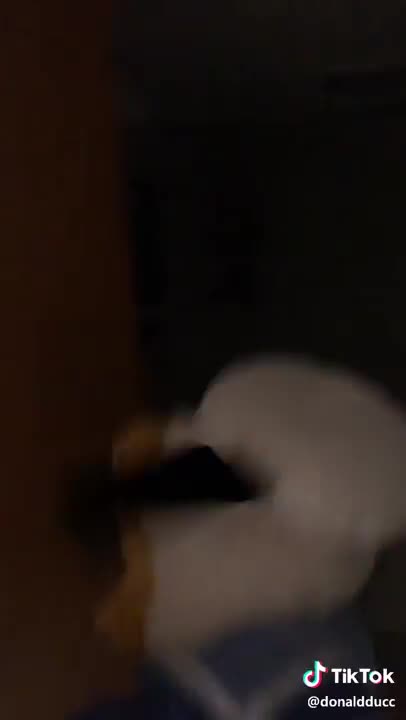 Spooky Scary Skeleton from Tik Tok @donaldducc