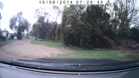 Little Girl on Bike Slams into Front of Slow Moving Car