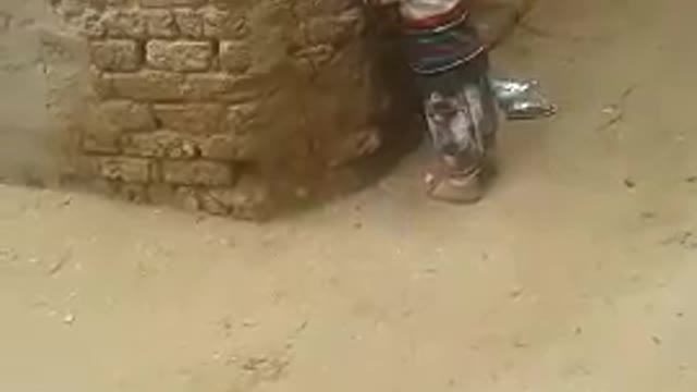 the children are playing