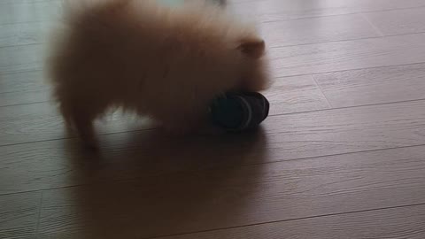 Little nachos
