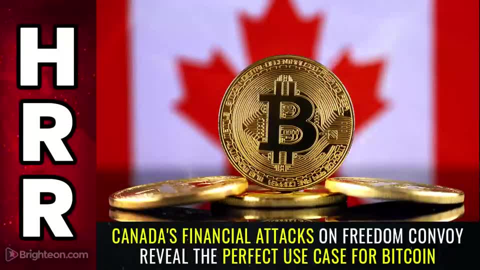 Special Report - Canadas Financial ATTACKS on Freedom Convoy Reveal the PERFECT Use Case 4 BITCOIN