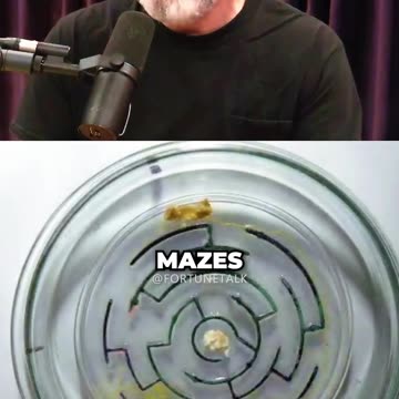 Slime Smarter Than Humans ft. Joe Rogan