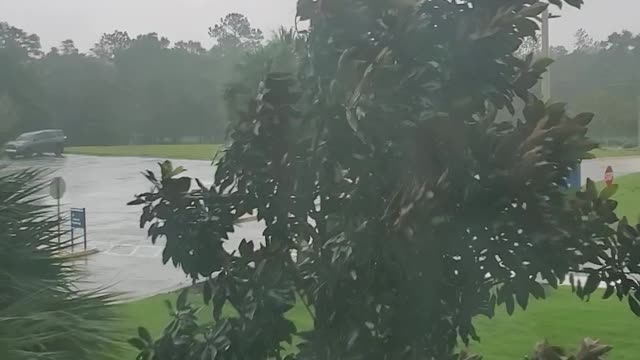 Hurricane sally