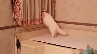 Caught being a nosey neighbor