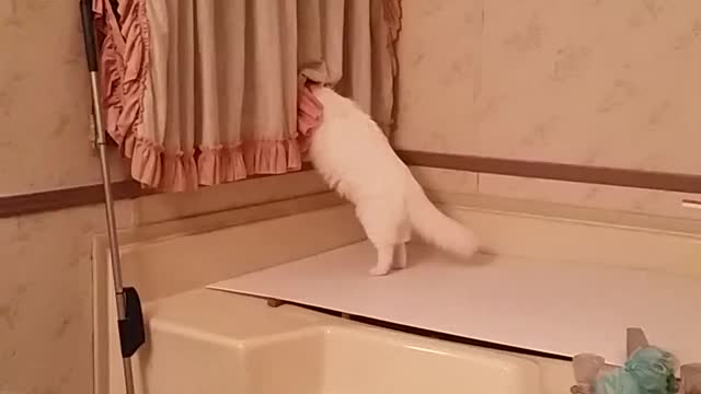 Caught being a nosey neighbor