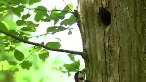 Time with God - July 8