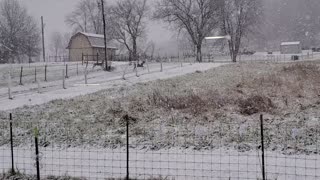 A run in the Snow