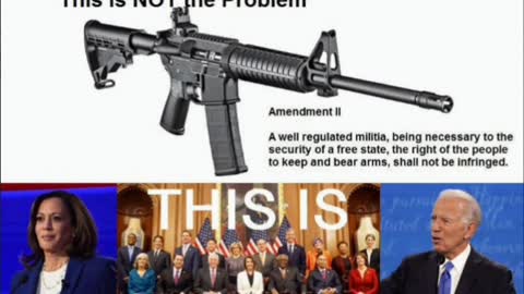 2nd amendment protects Americans from the Government
