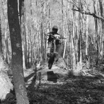 Trail riding on a dual sport