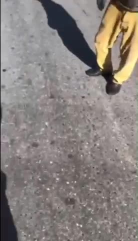 1 killed, 3 injured in Abkhazia border shooting - Local Ministry of Internal Affairs