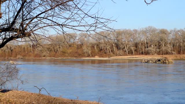 Wildlife of Russia - river 2022 Water Sounds for Sleep or Focus | White Noise Stream