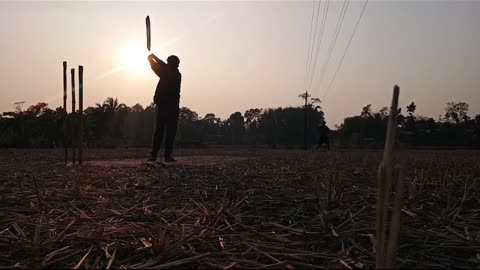 Cricket shot