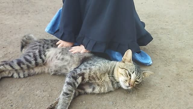 Cute cat playing with cute baby