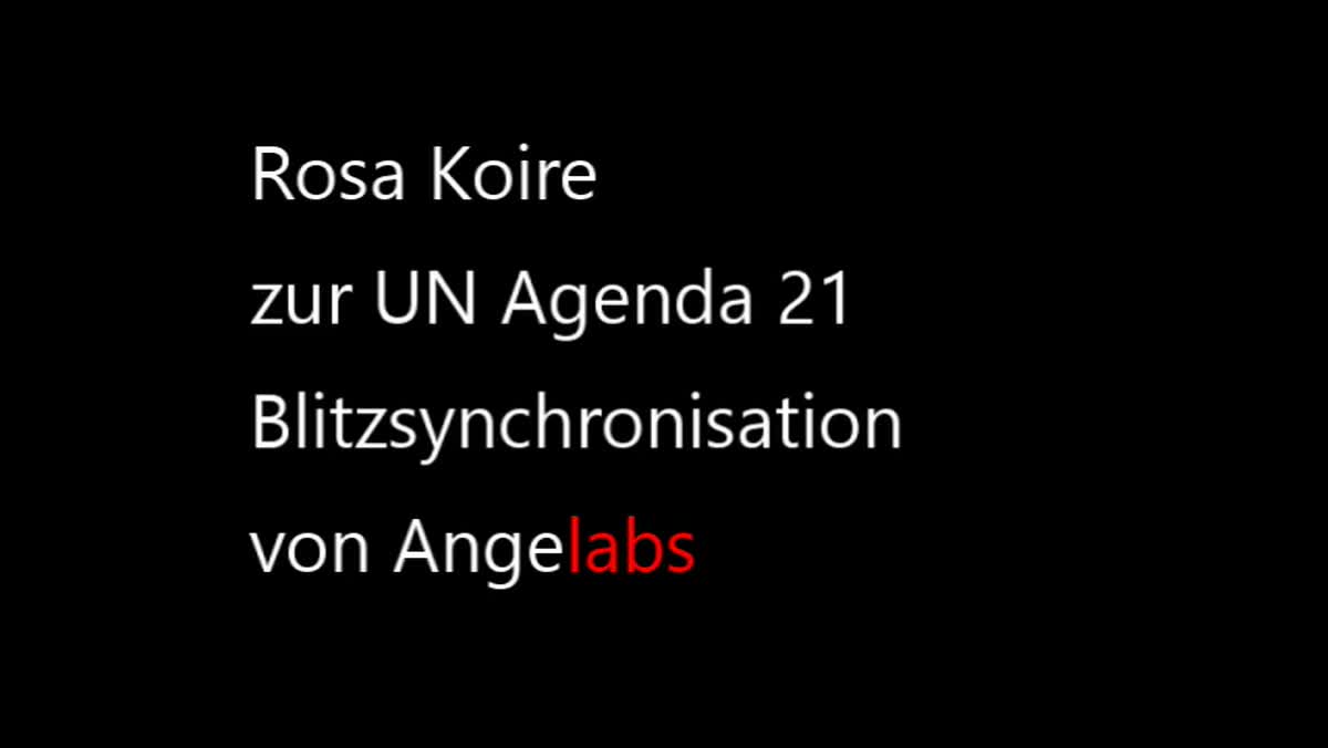 Rosa Koire - UN Agenda 21 - 31. Januar 2021 - (DEUTSCH)
