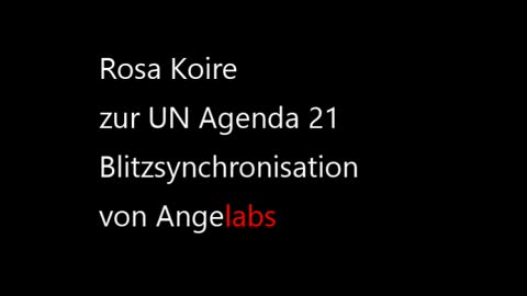 Rosa Koire - UN Agenda 21 - 31. Januar 2021 - (DEUTSCH)