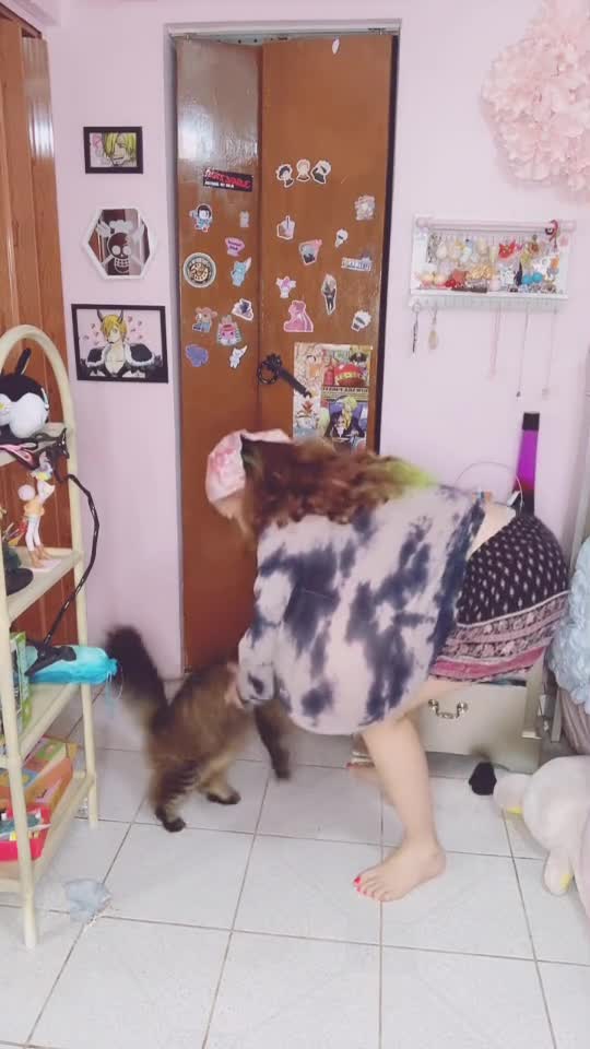 Cute Cat With Mommy Milky