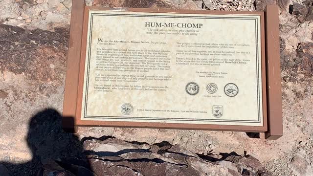 Lake Havasu Petroglyphs