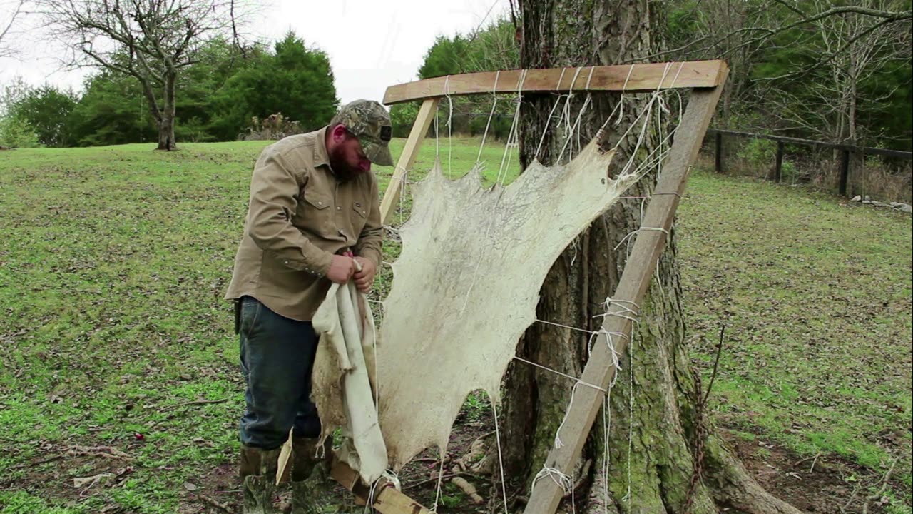 Tanning A Deer Hide Part 3: Stretching And Drying