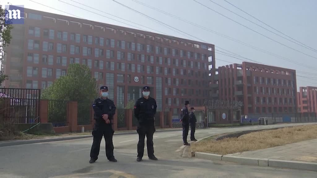 US government documents show scientists at Wuhan lab studies