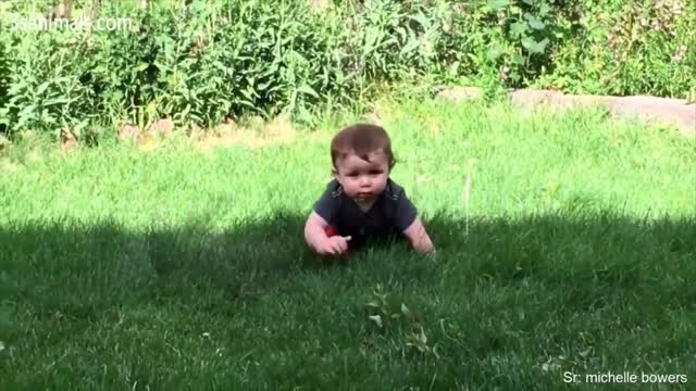 Cute Puppies and Babies Playing Together Compilation 2021