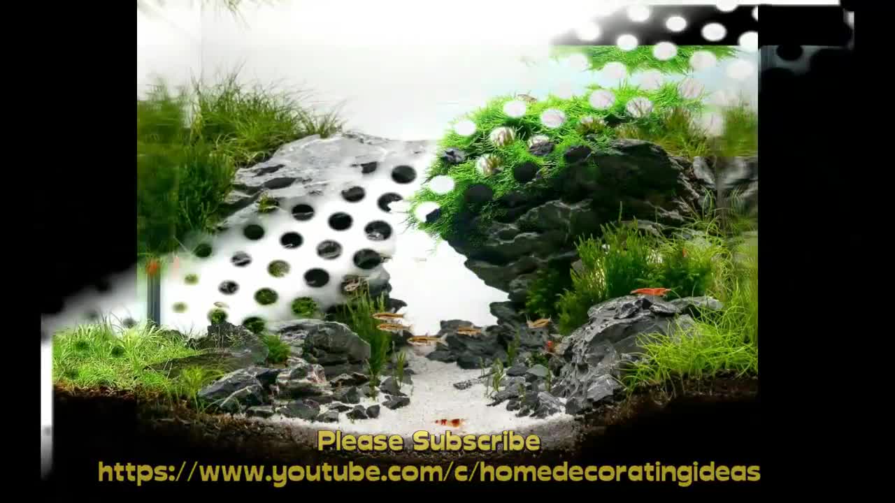 Creative fish tank decoration ideas