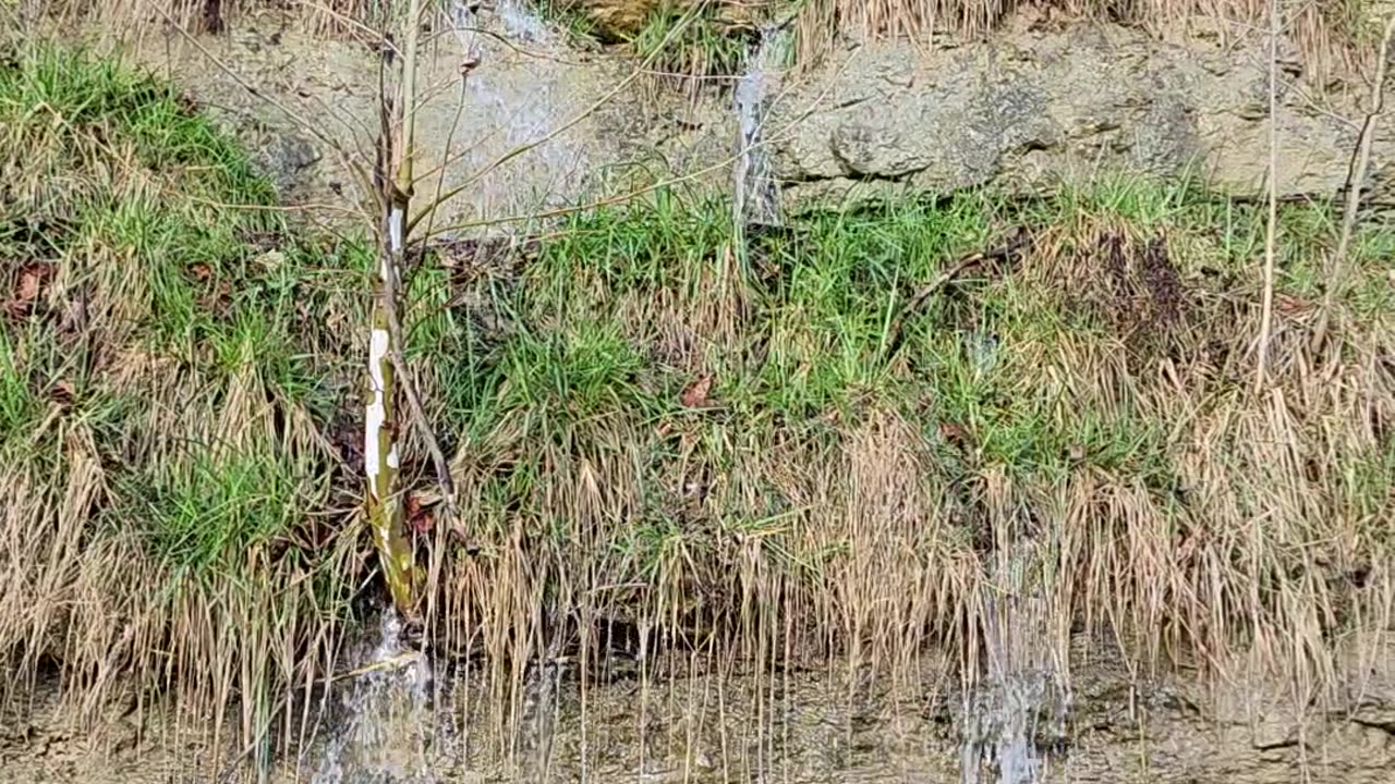 Rain creates a little waterfall