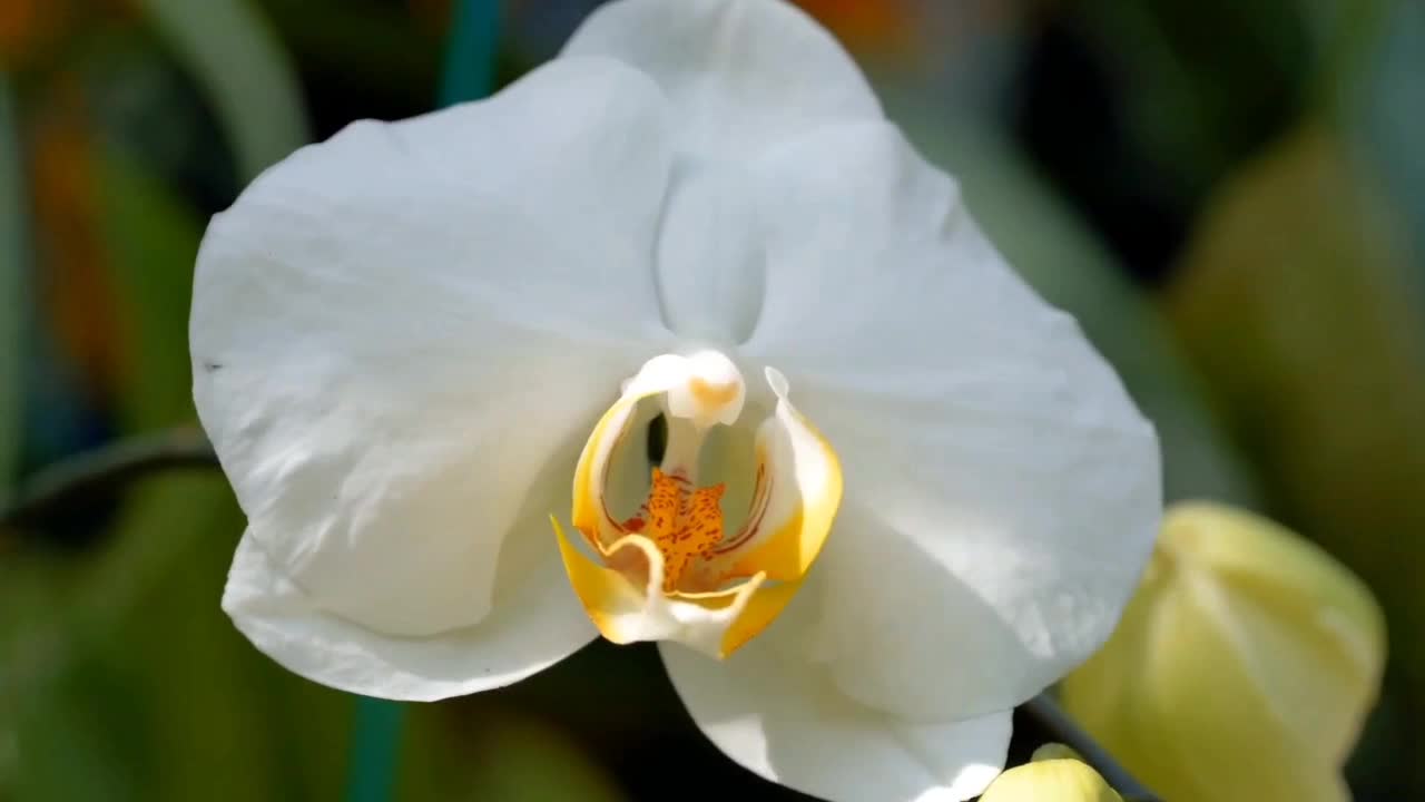 Beautiful world.