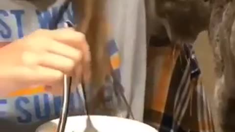 I will poop in your food 😂