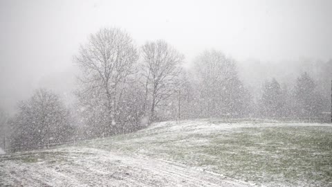 Snow in Russia