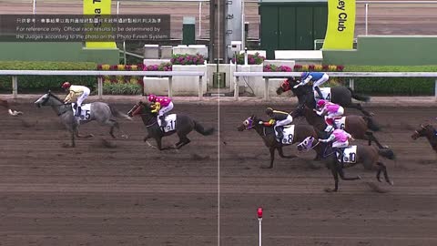 Horse_Race_2022060501_Chinese