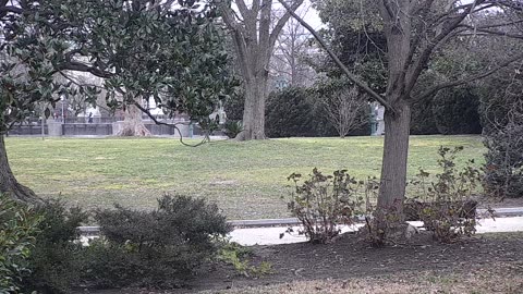 0679USCG00SEDriveExit_2021-01-06_09h20min16s980ms.mp4